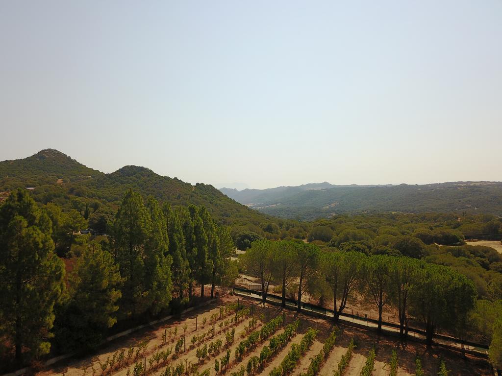 Telti Residence Villa Smeralda מראה חיצוני תמונה