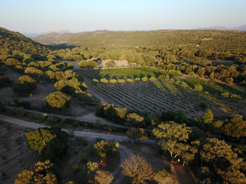 Telti Residence Villa Smeralda מראה חיצוני תמונה