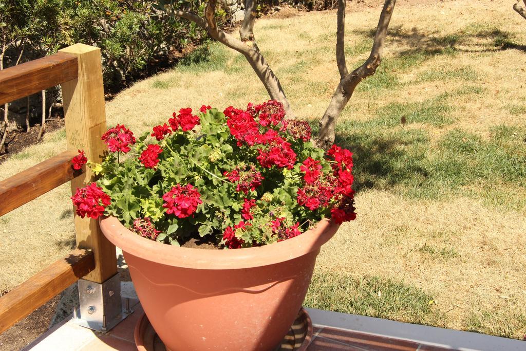 Telti Residence Villa Smeralda חדר תמונה